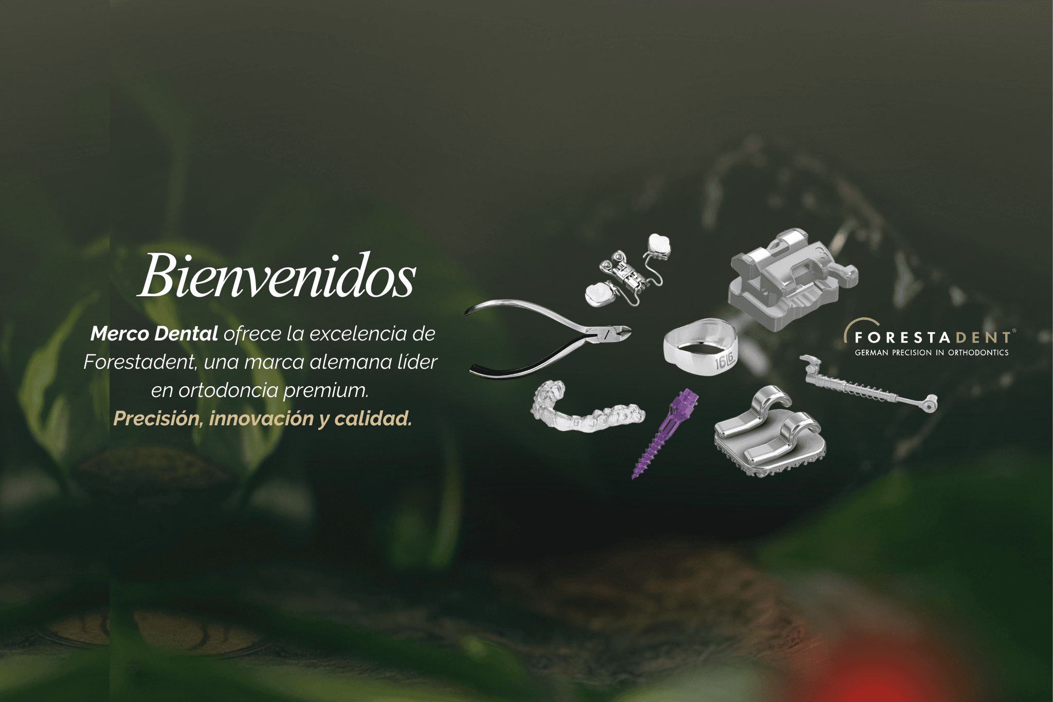 Banner Merco Dental